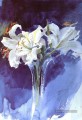 Vita Liljor avant tout Suède peintre Anders Zorn aquarelle